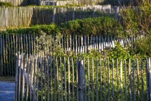 fence removal service