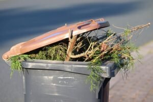 yard waste removal service