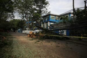 Storm Debris Removal