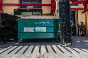 Dumpster Alternative Service