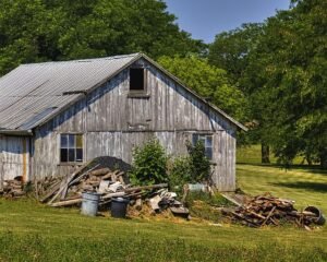 Shed Tear Down & Removal Service